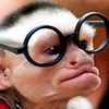 monkeyrpn