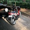 fizr394