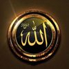 taimoorshah0814