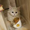me.cat636