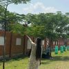 aayushma.malla92