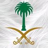 abdulazizalmalki