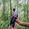 rawr_kroco_0