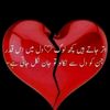043zainali