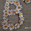 omnaser502