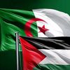 sohyaib.algeria