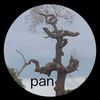 panda974939300