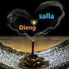 dieng.salla265