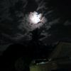 user077294fromli