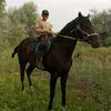 dias.horse
