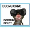 pippi_su_tiktok