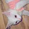 remaaaa_77