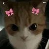 sthefanyxrl