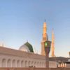 sheikhabdulrahman016
