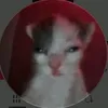 _dyzin_