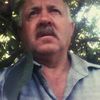 user4530361241235
