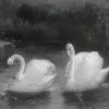 828w7e681