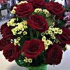m.aslam.tanoli