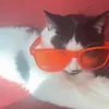 dubai_agency.d_199iq