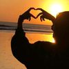 user4720018270924