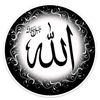 mian.niaz.muhamma4