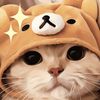 chunkykitty12345