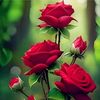 mrmralabdi86