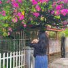 nita_sjn01