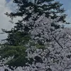 16_yuusuke0316