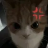 nhdethw13