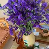 user1970187811219