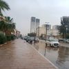 wiki4366