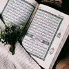 abd.alslam161