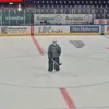 skalman_100