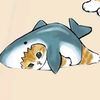 fhaaaaaaaaaaawwwww