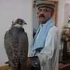 jahngir.sultan1