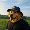 mikkosg