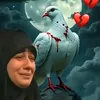 user3050212174126