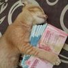 akmal_27100