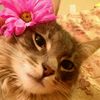 hijabworldqueen96