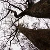 jeth_927