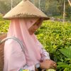 purwanti13531