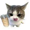 usernumber8236