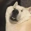 1pf4u