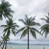 staroftheseagomez