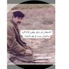 user517619709726