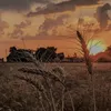 dnat_04