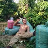 thangchamay2003
