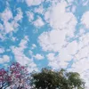dianaclara68