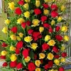 hopefaith7034